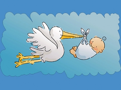 baby_stork_boy baby_stork_boy