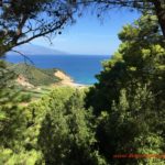 digital nomad