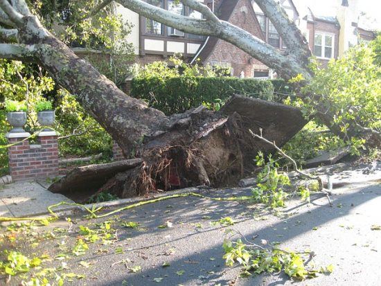 Storm Damage