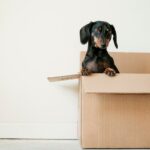 how to save money on moving costs