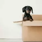 how to save money on moving costs