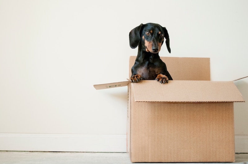 how to save money on moving costs